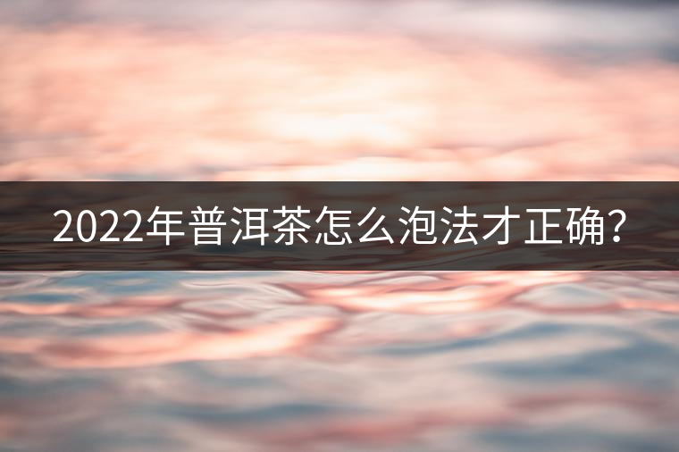 2022年普洱茶怎么泡法才正確？