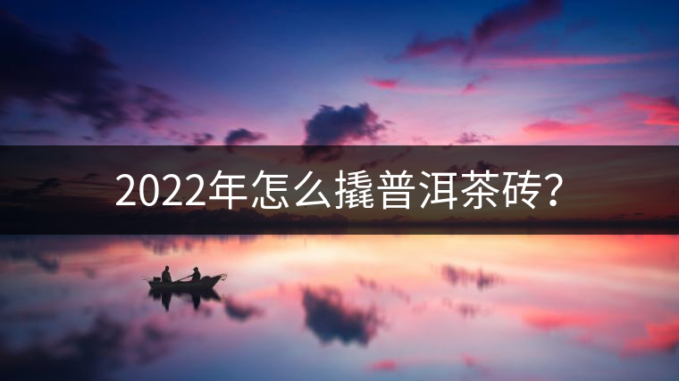 2022年怎么撬普洱茶磚？
