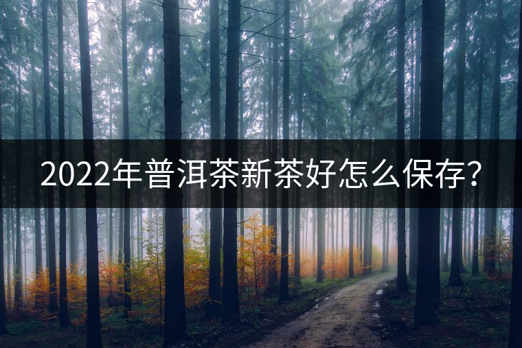 2022年普洱茶新茶好怎么保存？