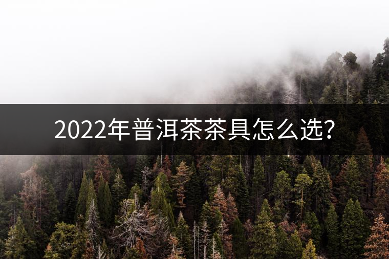 2022年普洱茶茶具怎么選？