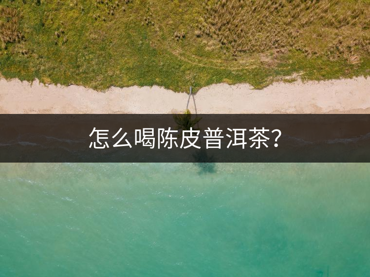 怎么喝陳皮普洱茶？