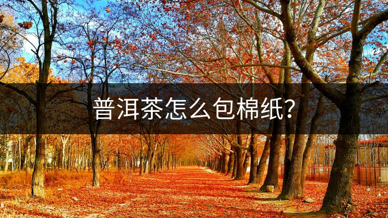 普洱茶怎么包棉紙？