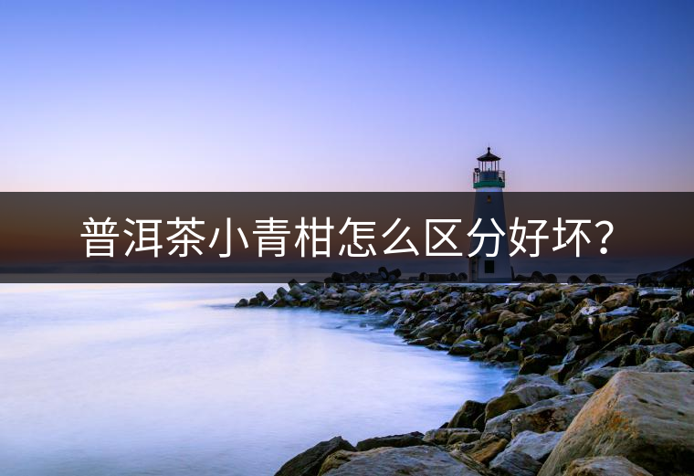 普洱茶小青柑怎么區(qū)分好壞？