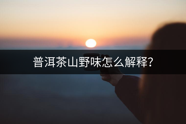 普洱茶山野味怎么解釋？