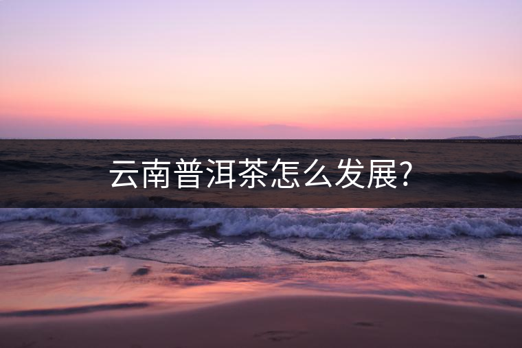 云南普洱茶怎么發(fā)展? 云南普洱茶怎么發(fā)展?