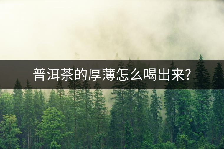 普洱茶的厚薄怎么喝出來?