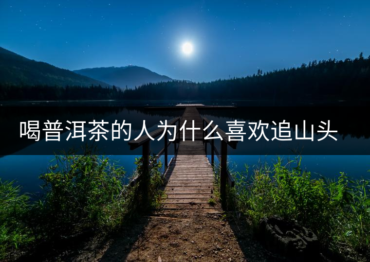 喝普洱茶的人為什么喜歡追山頭？無非就是這幾個原因