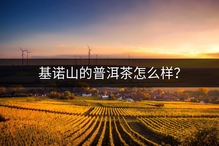 基諾山的普洱茶怎么樣？