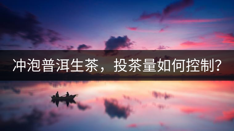 沖泡普洱生茶，投茶量如何控制？