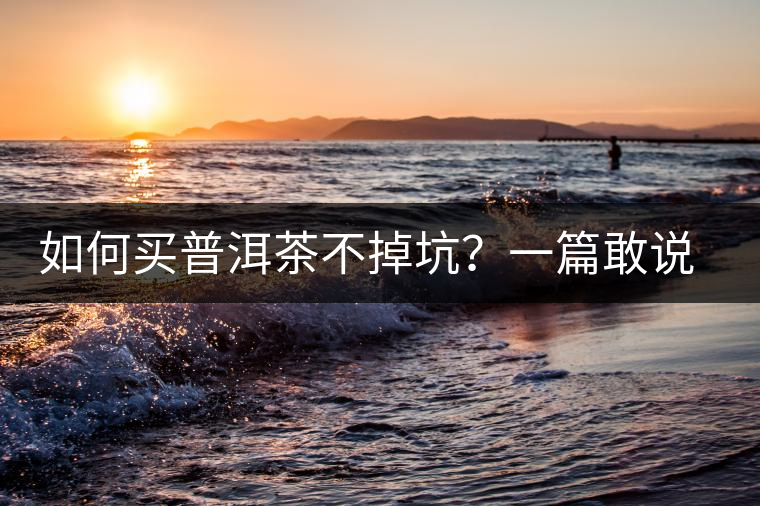 如何買普洱茶不掉坑？一篇敢說真話的良心之作。