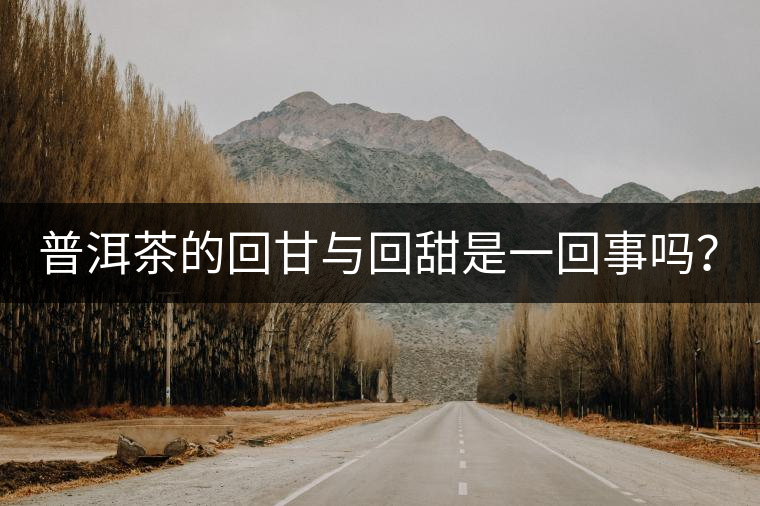 普洱茶的回甘與回甜是一回事嗎？？