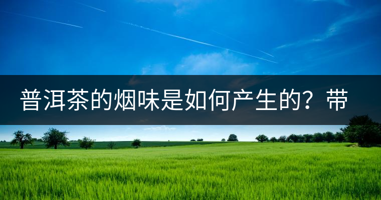 普洱茶的煙味是如何產(chǎn)生的？帶煙味的普洱茶是好還是壞？