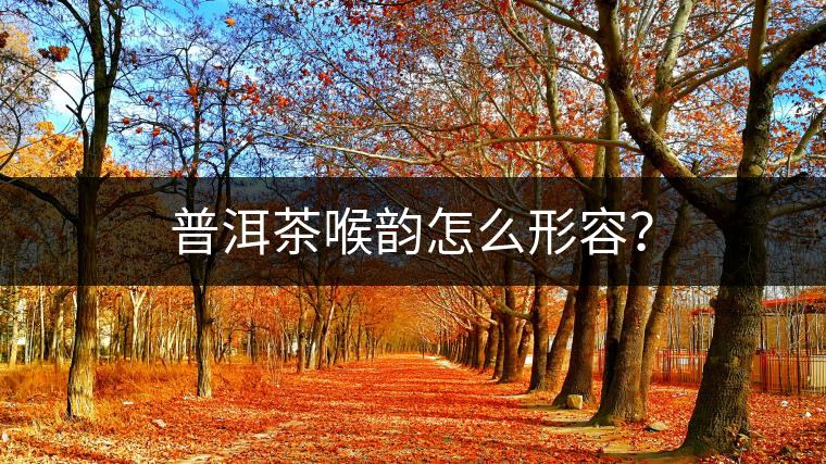 普洱茶喉韻怎么形容？