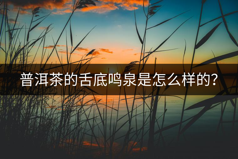 普洱茶的舌底鳴泉是怎么樣的？
