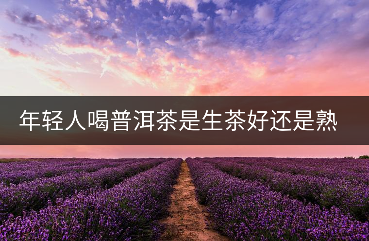 年輕人喝普洱茶是生茶好還是熟茶好？該怎么選擇？