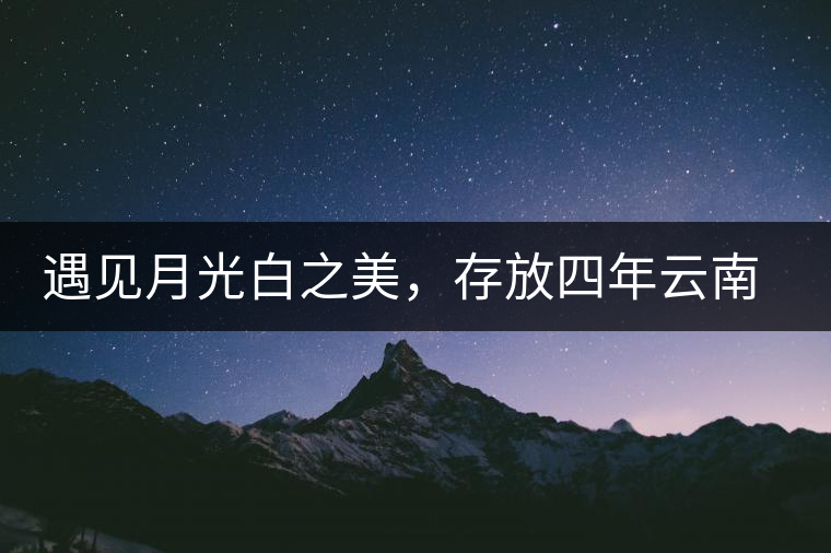 遇見月光白之美，存放四年云南古樹白茶
