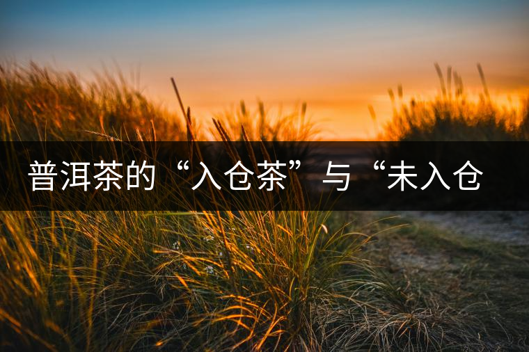 普洱茶的“入倉茶”與“未入倉茶”如何區(qū)分，你造嗎？