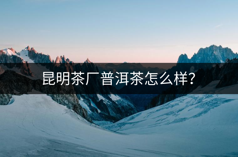 昆明茶廠普洱茶怎么樣？