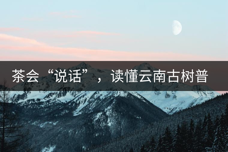 茶會(huì)“說(shuō)話”，讀懂云南古樹(shù)普洱茶的秘訣