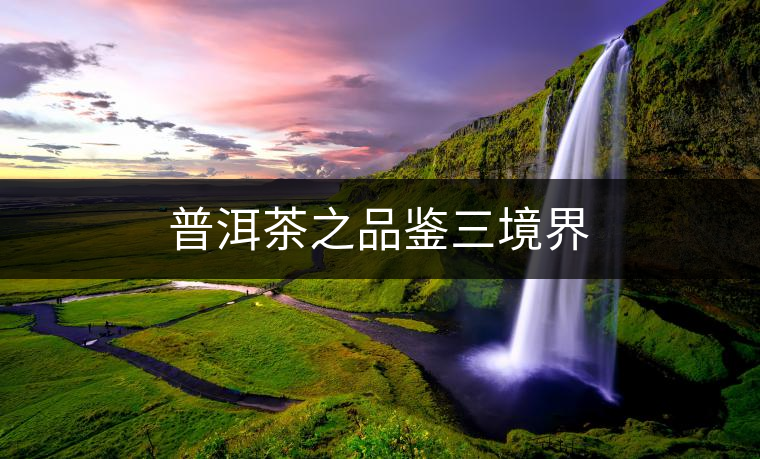 普洱茶之品鑒三境界 普洱茶之品鑒三境界