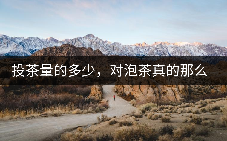 投茶量的多少，對(duì)泡茶真的那么重要嗎？
