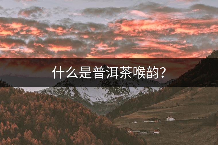 什么是普洱茶喉韻？
