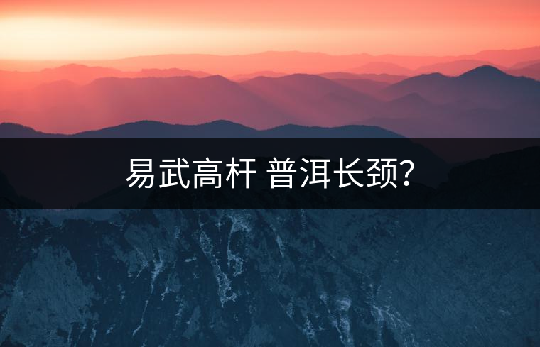 易武高桿 普洱長頸? 易武高桿 普洱長頸?