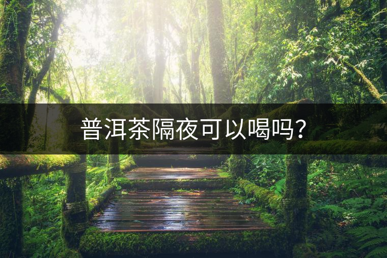 普洱茶隔夜可以喝嗎？