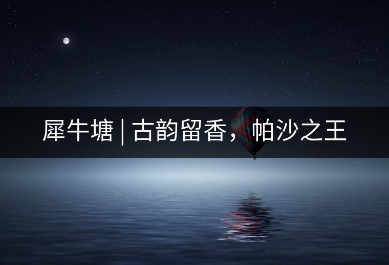 犀牛塘 | 古韻留香，帕沙之王