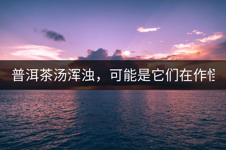 普洱茶湯渾濁，可能是它們在作怪？