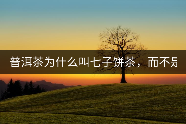 普洱茶為什么叫七子餅茶，而不是六子餅、八子餅......？