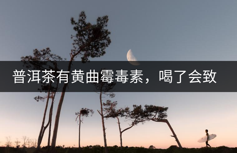 普洱茶有黃曲霉毒素，喝了會(huì)致癌？不黑不吹，咱用事實(shí)說話