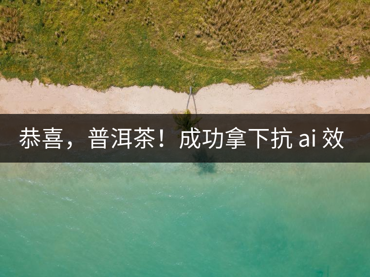 恭喜，普洱茶！成功拿下抗 ai 效果第二名！