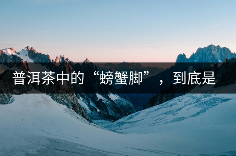 普洱茶中的“螃蟹腳”，到底是什么？如何辨別？