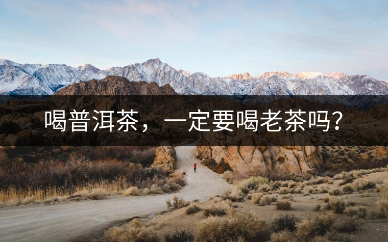 喝普洱茶，一定要喝老茶嗎？