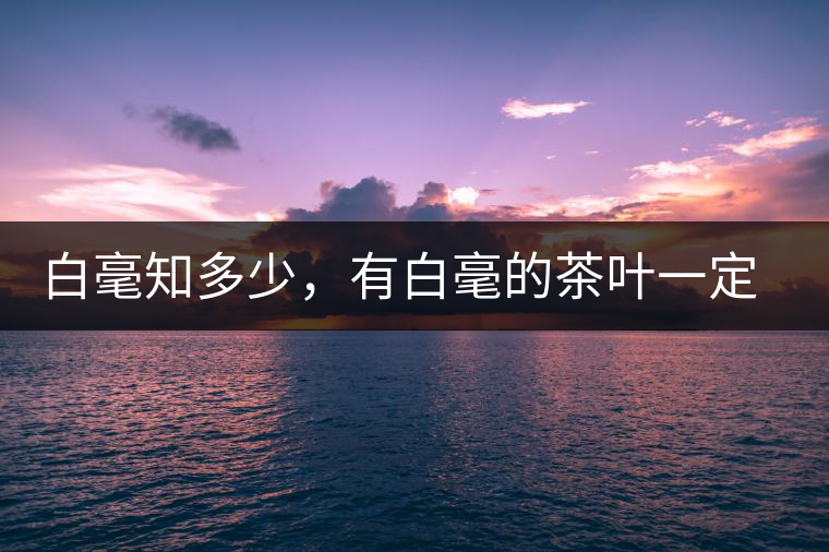 白毫知多少，有白毫的茶葉一定好嗎？