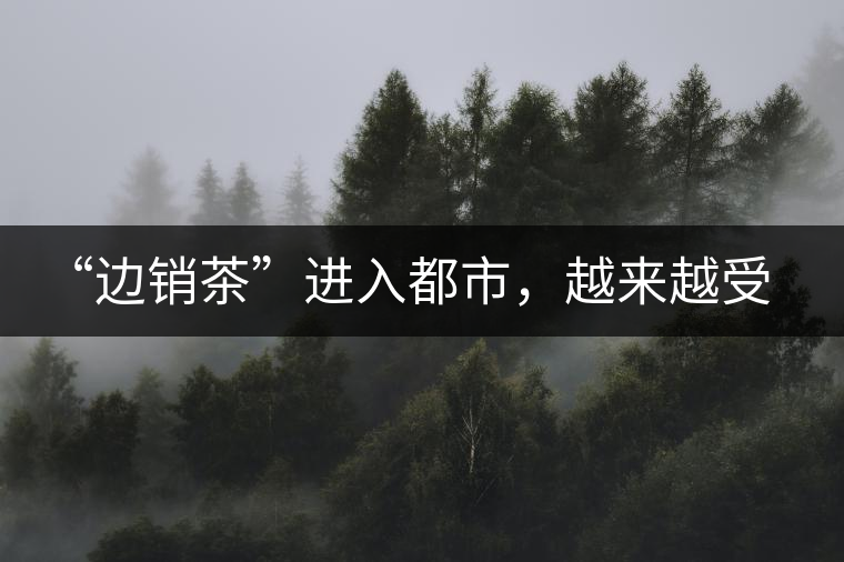 “邊銷茶”進(jìn)入都市，越來越受人們青睞