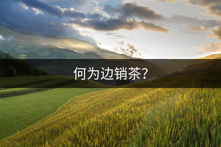 何為邊銷茶？