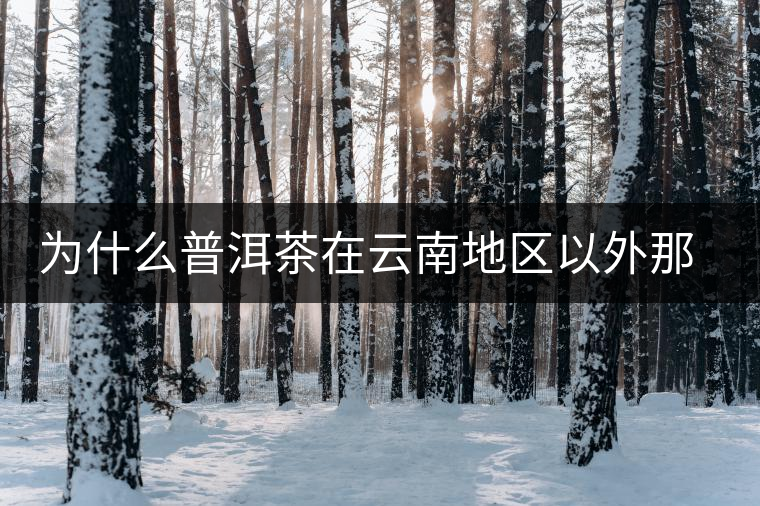 為什么普洱茶在云南地區(qū)以外那么受歡迎？