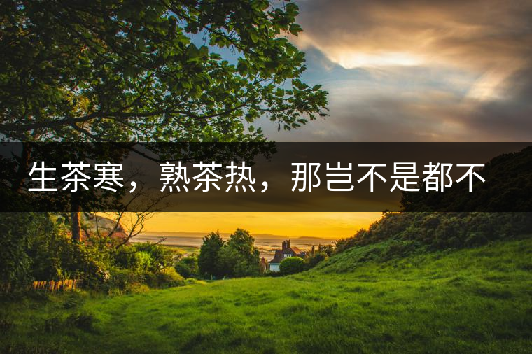 生茶寒，熟茶熱，那豈不是都不能喝了？丨實用