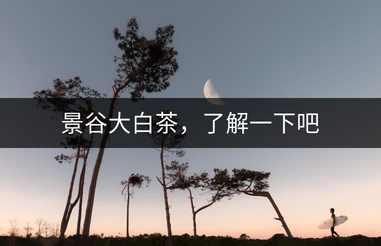 景谷大白茶，了解一下吧
