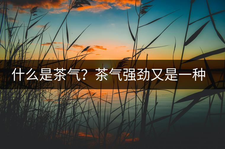 什么是茶氣？茶氣強勁又是一種怎樣的體驗？