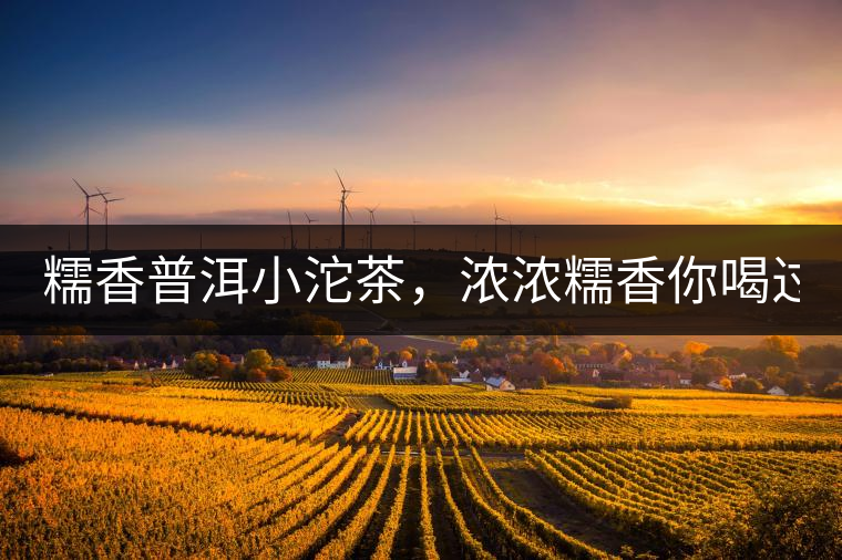 糯香普洱小沱茶，濃濃糯香你喝過嗎？