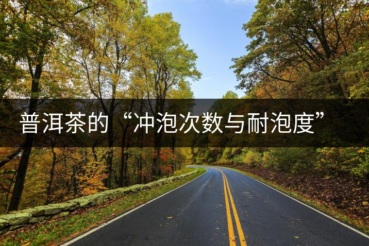 普洱茶的“沖泡次數(shù)與耐泡度”，你都了解嗎？