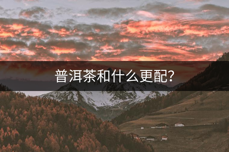 普洱茶和什么更配？