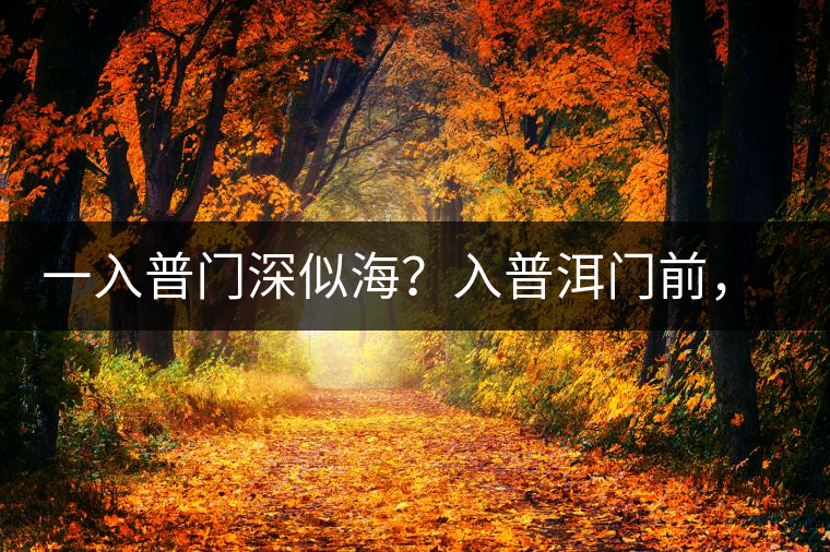 一入普門深似海？入普洱門前，你需要了解這些