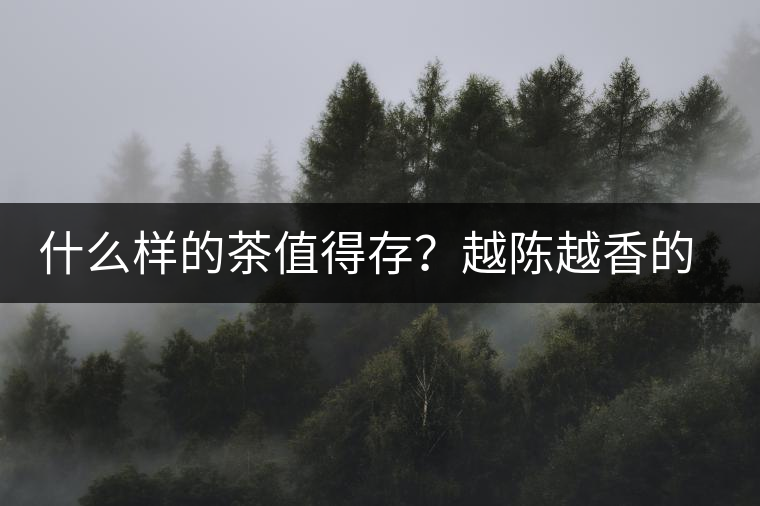 什么樣的茶值得存？越陳越香的本質(zhì)是什么？
