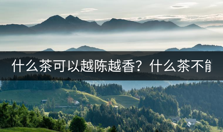 什么茶可以越陳越香？什么茶不能？