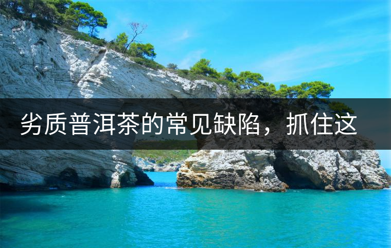 劣質(zhì)普洱茶的常見缺陷，抓住這三個特征，拒絕劣質(zhì)茶！