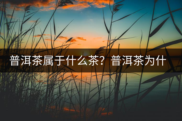 普洱茶屬于什么茶？普洱茶為什么會(huì)越陳越香？